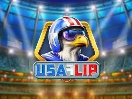 USA Flip game icon